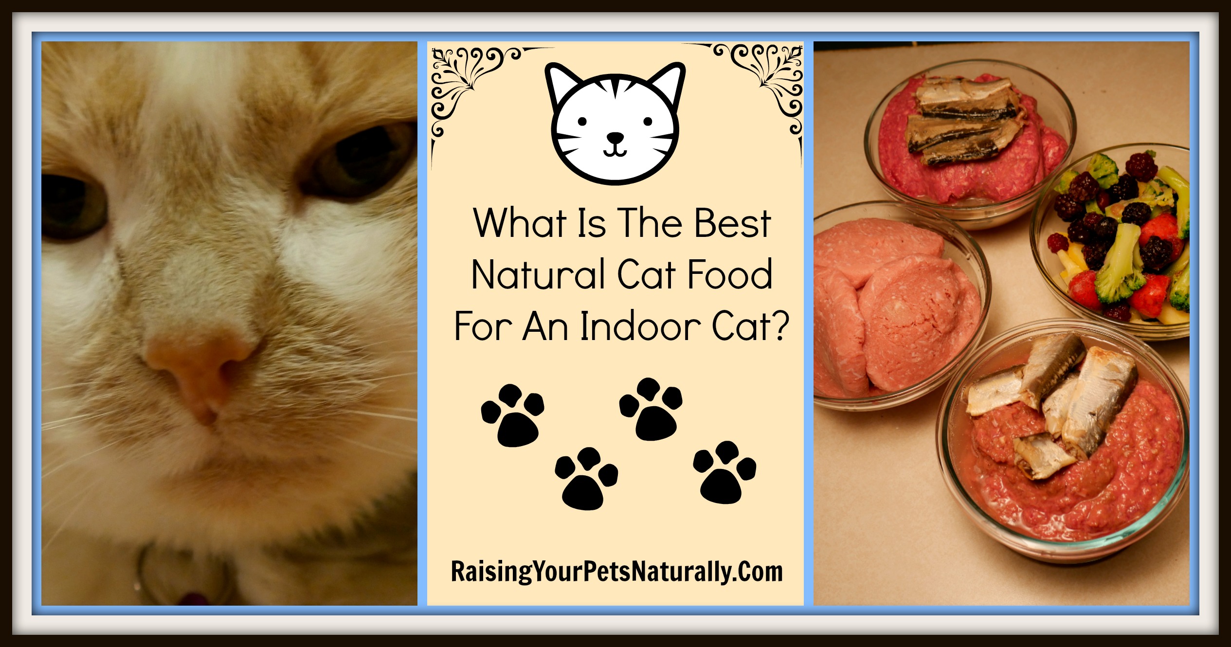 What's the best grain-free dry cat food brand? There isn't one. Dry cat food is by nature, well, dry. Cats, dogs, people… we all need a lot of moisture in our diets. Learn more. #raisingyourpetsnaturally