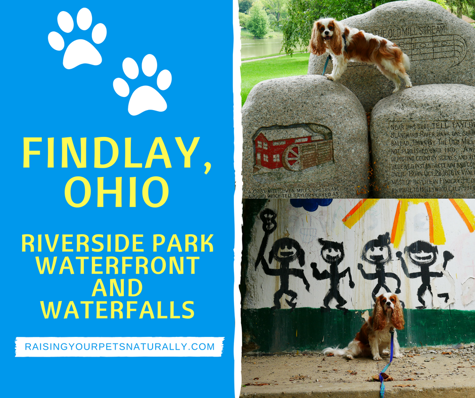 Dog-Friendly Findlay, Ohio