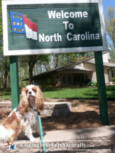 Vacations with Dogs: North Carolina