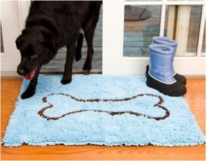 Soggy Doggy Doormat