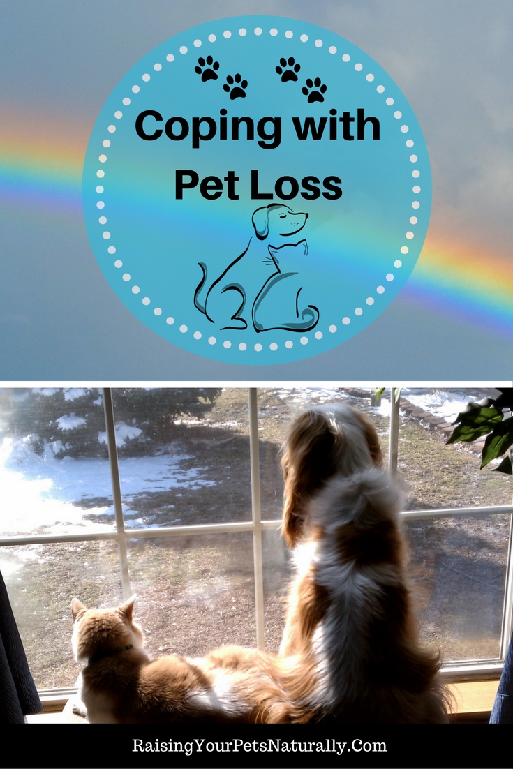 How to cope with the loss of a pet. Grieving the loss of a pet can be extremely difficult. How to deal with the loss of a pet is completely personal. Read for pet loss support. #raisingyourpetsnaturally