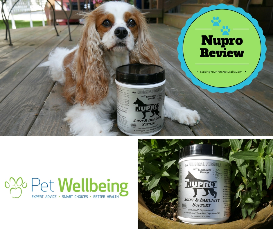 Nupro Joint & Immunity Support for Dogs Review.  A natural joint support supplement for dogs is a must. #raisingyourpetsnaturally