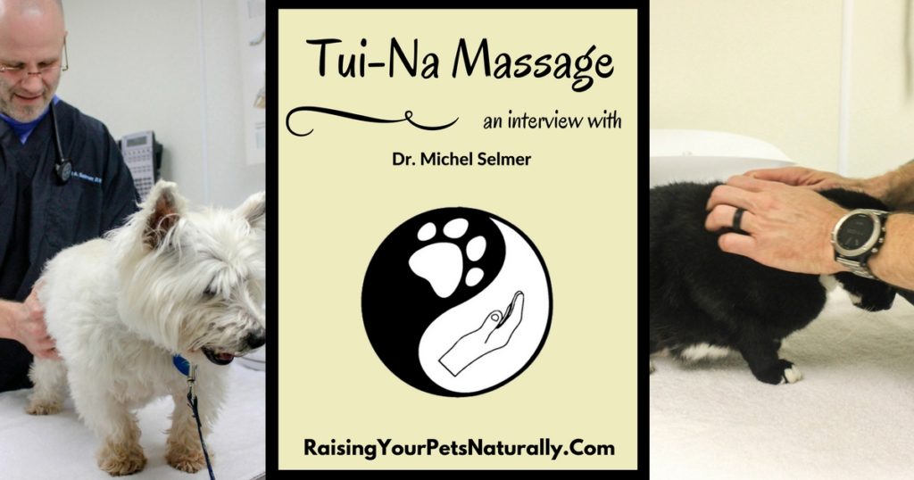 Tui-Na Massage with Pets