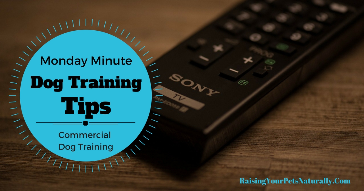 Dog Training Tips for Creative Dog Training. Learn how to train your dog in minutes using positive reinforcement dog training. #raisingyourpetsnaturally