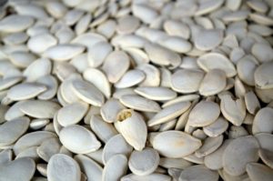 Are pumpkin seeds safe for dogs?