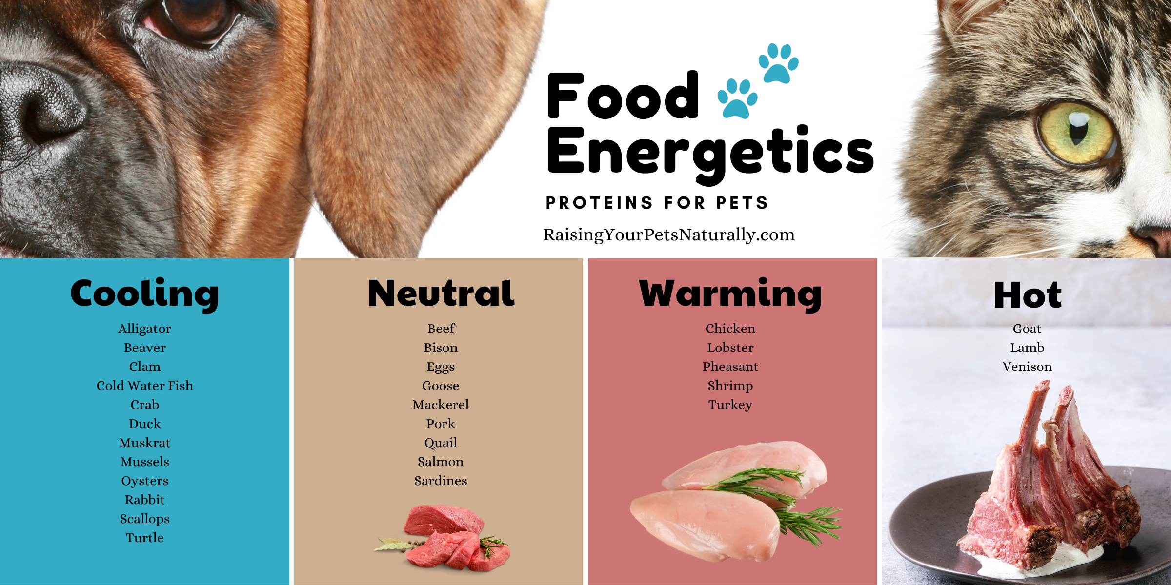 Energetics of various proteins for pets