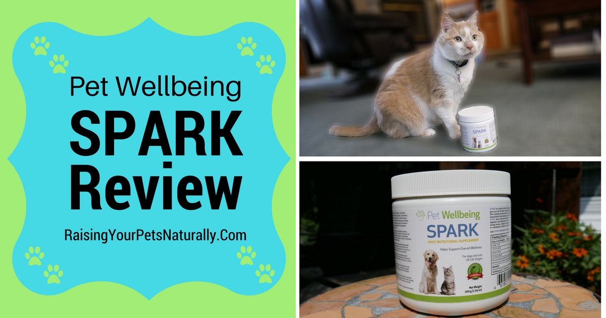 SPARK Joint Supplement Review