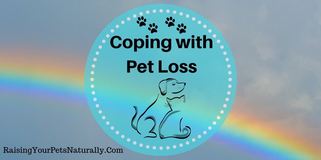 The loss of a pet can be one of the most devastating events in a pet parent’s life. Pet loss, and recovering after the loss of a pet, can be very difficult. Grieving the loss of a pet alone can even be so traumatic for people trying to figure out how to cope with the loss of a pet.