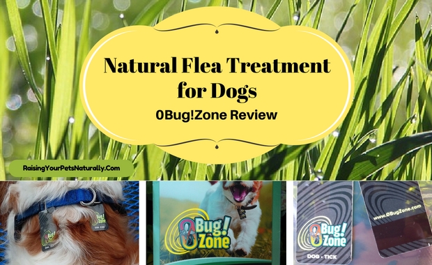 0Bug!Zone Natural Flea Treatment Review