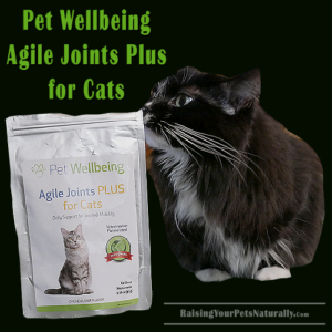 Joint Supplements for Cats