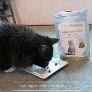 Pet Wellbeing Agile Joint Supplement for Cats