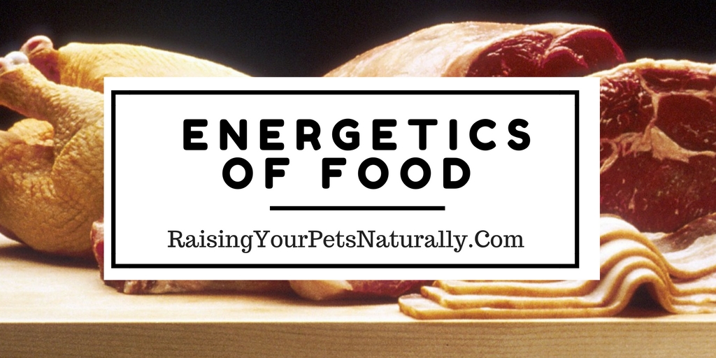 Food Energetics. Your pet's food and yours too is not only for nourishing the body but also plays a large role in the quality of life, including behavior, health, and personal comfort. #raisingyourpetsnaturally