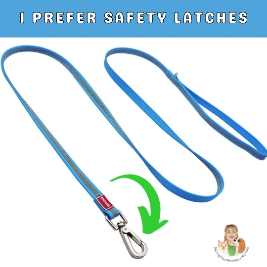 Best dog walking leashes