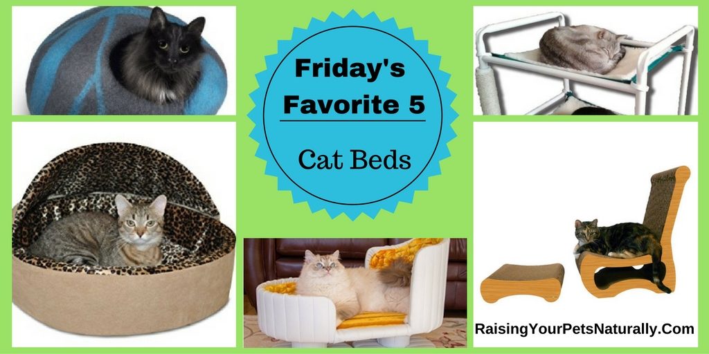 The best cat beds, cat bunk beds, heated cat beds and more.