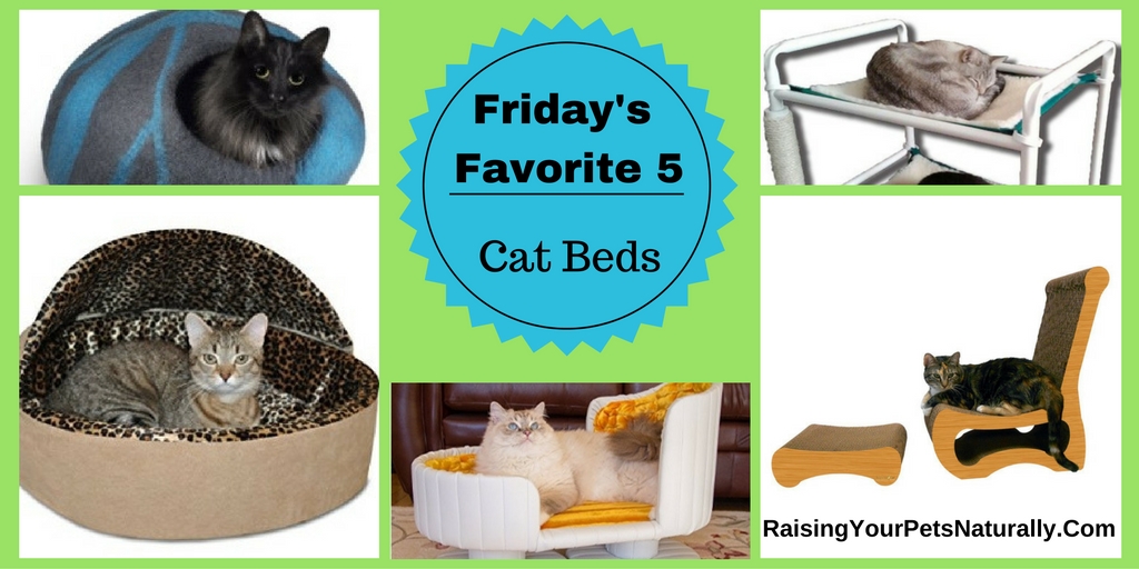 The best cat beds, cat bunk beds, heated cat beds and more. If you are looking for a luxury cat bed or a unique covered cat bed, check out today's Friday's Favorite 5.