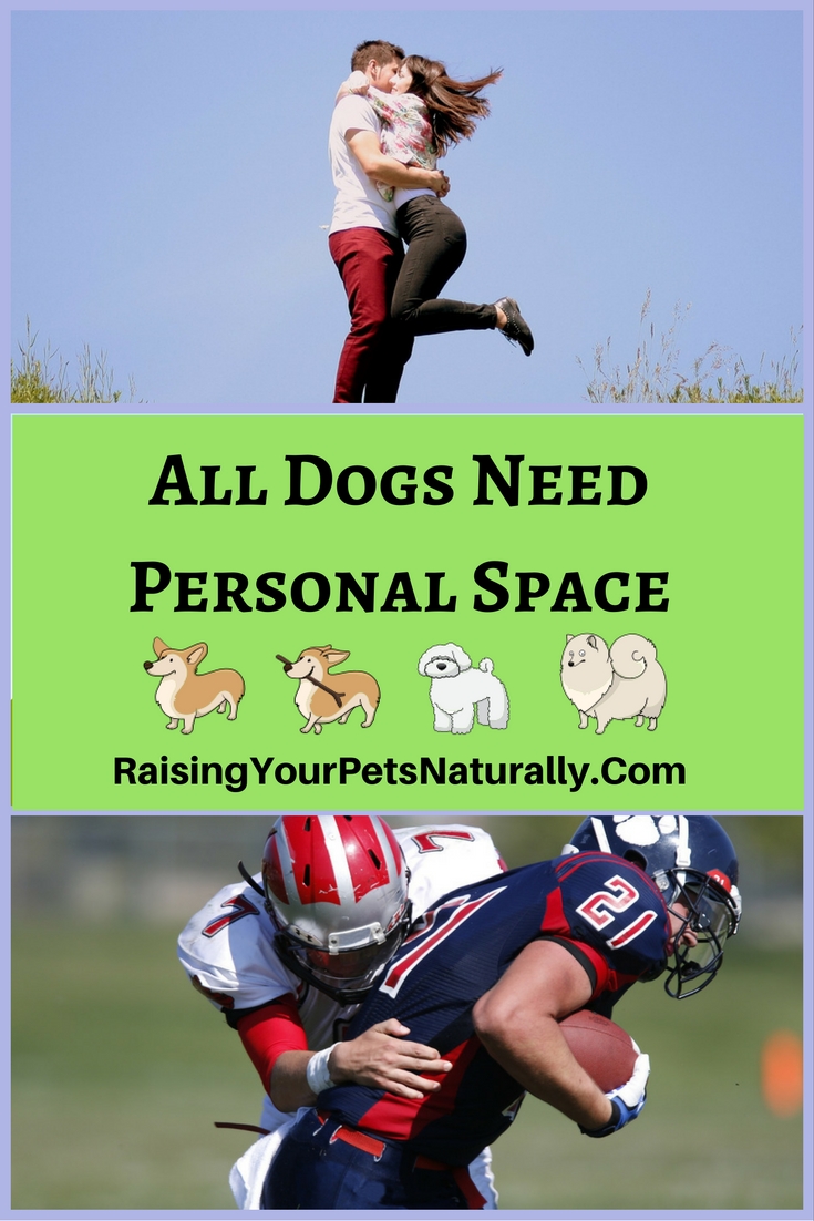 All Dogs Deserve Space. Learn why all dogs need their personal space and how to properly greet a dog. #raisingyourpetsnaturally
