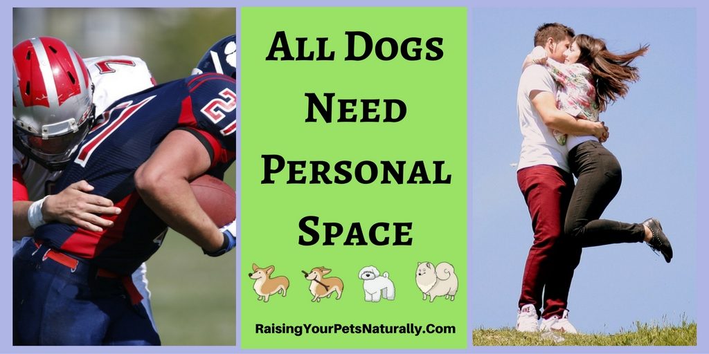 All Dogs Deserve Space