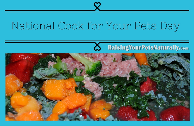 For National Cook for Your Pets Day, I thought it would be a good time to talk about people food vs. pet food. Is there a difference?