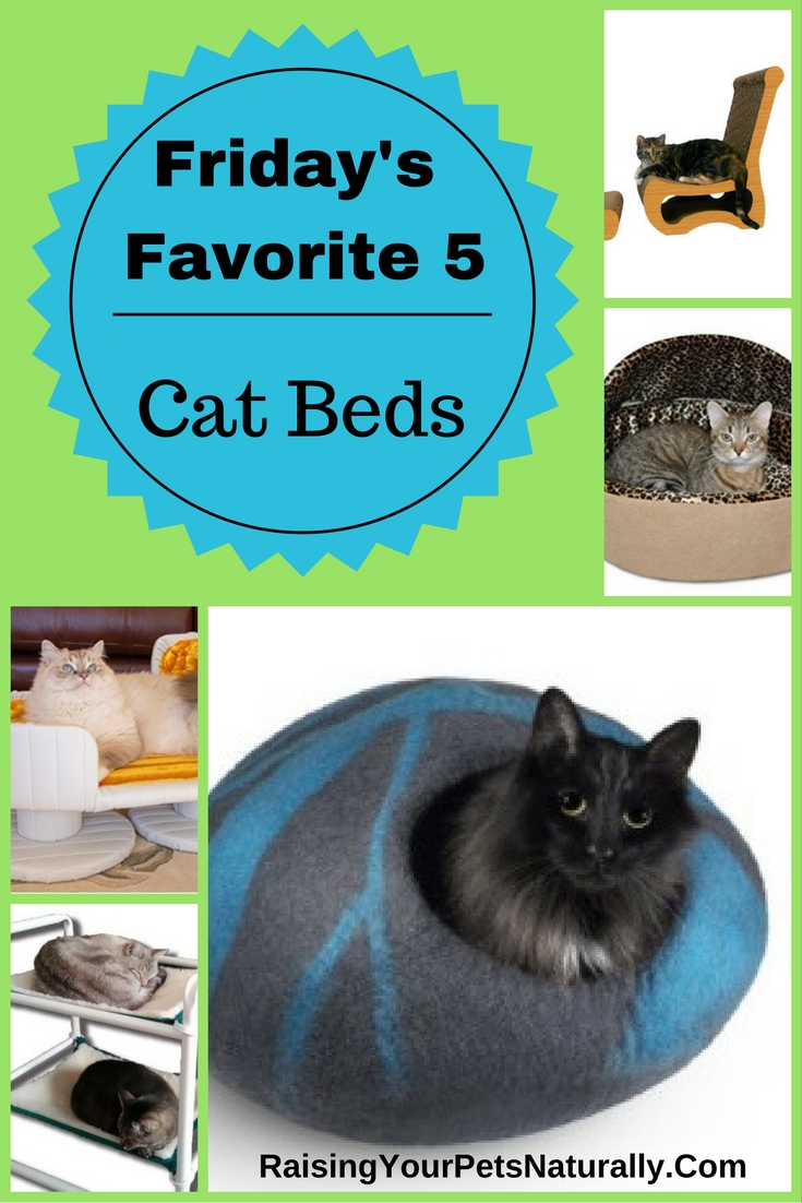 The best cat beds, cat bunk beds, heated cat beds and more. If you are looking for a luxury cat bed or a unique covered cat bed, check out today's Friday's Favorite 5.