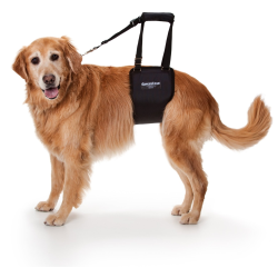 GingerLead Dog Support & Rehabilitation Harness
