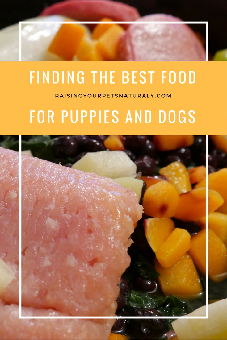 Learn how to find the best dog food for dogs and puppies. Best Dog Food For Puppies: What Is The Best Dog Food Dog Nutrition and Holistic Pet Care and Food