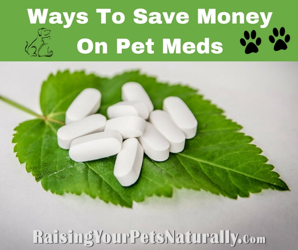 Learn how to save money on your pet's medication when you find your pet does need the help of pharmaceuticals. #raisingyourpetsnaturally 