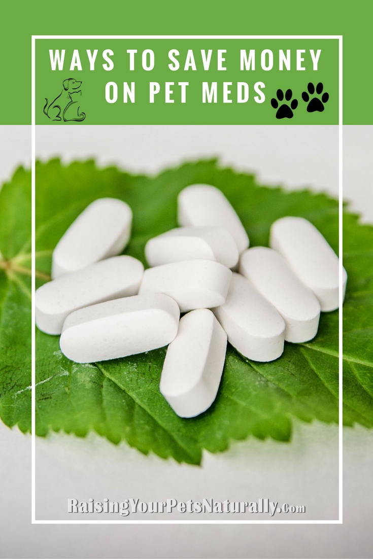 Learn how to save money on your pet's medication when you find your pet does need the help of pharmaceuticals. #raisingyourpetsnaturally 