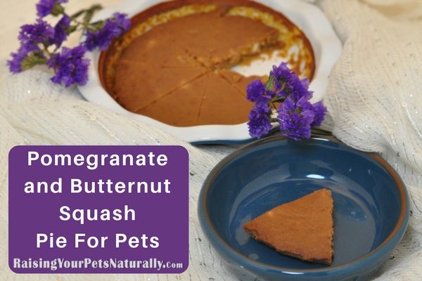 Pomegranate and Butternut Squash Pie for Dogs, Cats and Pets. A perfect fall pie. Your canine will be licking his chops for seconds.