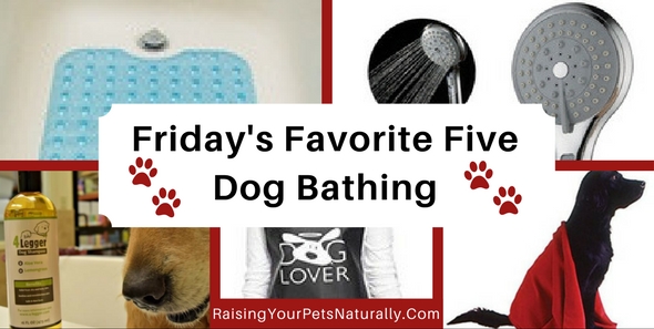 Are you are looking for the best natural dog shampoo or the most absorbent dog towel? Bathing a dog is a necessity for most of us. Dexter The Dog hates having a dog bath, but with his long fur and adventurous nature, it is something that we do about every 3-4 weeks. This makes it especially important to me to ensure the dog grooming products I use are safe and non-toxic, and help Dexter feel good during and after his bath. Well, as good as he can feel. ;)