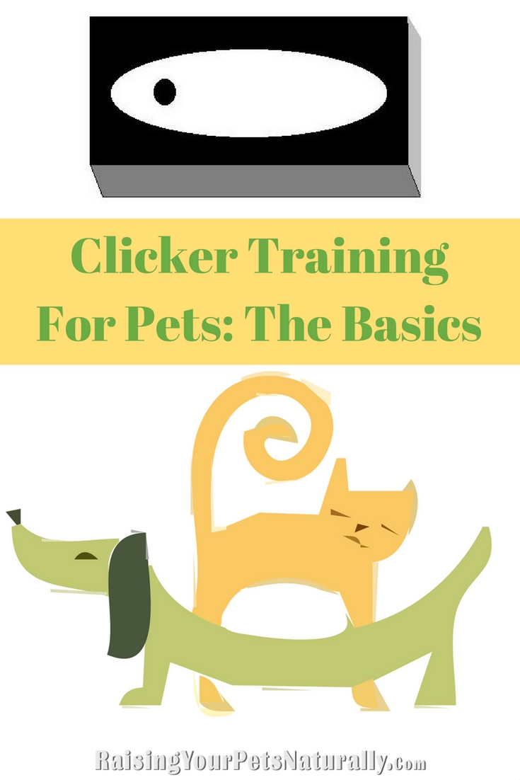 Dog Training and Cat Training with a Clicker. Clicker dog and cat training is not only a creative way to train your pet, but a very effective and easy way to train. Learn how to clicker train today. #raisingyourpetsnaturally