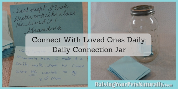 Instead of putting weekly good things that happened, I want you to put DAILY connecting with another inside your jar. When I think of connecting with people or connecting with our pets, I think of putting away all distractions (TV, cell phones, internet) and really just being in the moment with the other person or your pet.