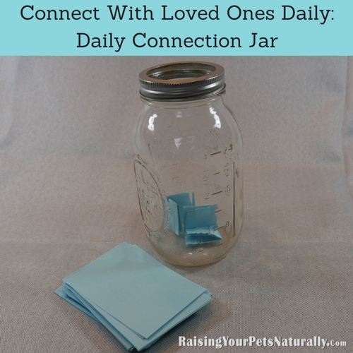 I want you to put DAILY connecting with another inside your jar. When I think of connecting with people or connecting with our pets, I think of putting away all distractions (TV, cell phones, internet) and really just being in the moment with the other person or your pet. 