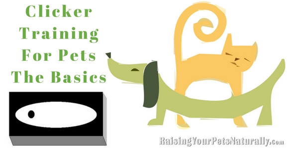 Dog Training and Cat Training with a Clicker. Clicker dog and cat training is not only a creative way to train your pet, but a very effective and easy way to train. Learn how to clicker train today. #raisingyourpetsnaturally