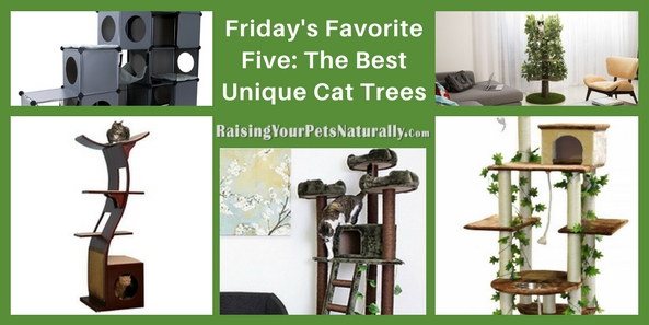 Friday's Favorite Five: The Best Unique Cat Trees. Cats love to be in high places. You may see your cat up on the counter, windowsill, high cabinet, or even on your refrigerator. Being high allows a cat to view his world from a relatively safe location. Maybe the reason cats want to be high up is from their ancestral days, when they climbed trees to escape other predators or to hunt their prey from concealment. Although the house cat does not have to hunt his prey, some do still enjoy the security of being high, especially when under stress from their home environment. For today's Friday's Favorite Five, I thought it would be fun to highlight five fun and modern cat trees.