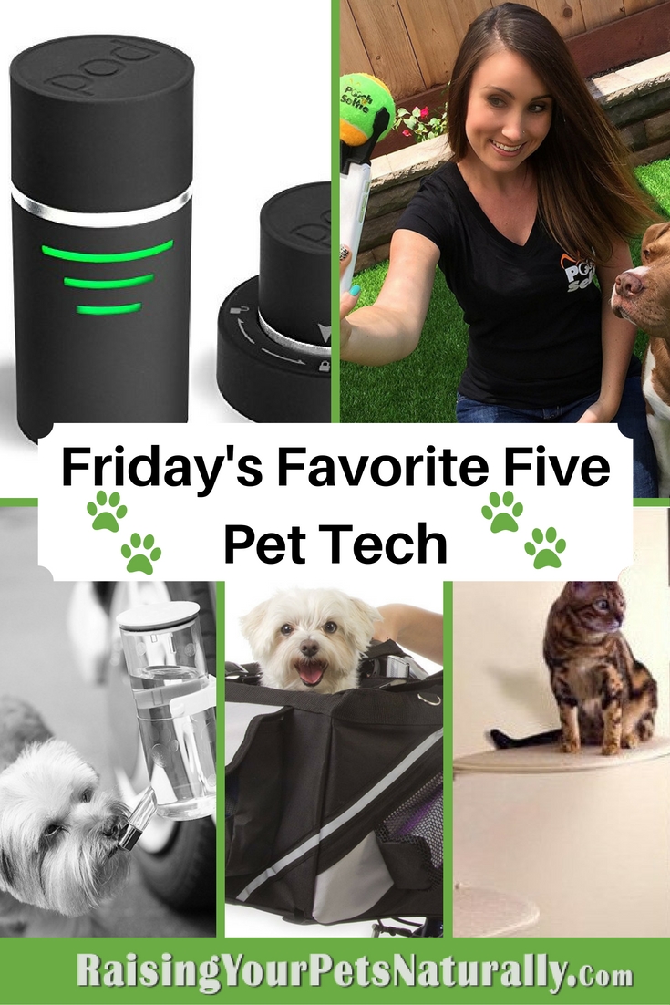 You may be a bit like me: you love technology on one hand, but hate it when it fails or you are trying to figure out how to use it. But, love it or hate it, technology can be so helpful in our pets’ lives. Some pet-tech items are just pure fun and others have the potential to save their lives or find them if they get lost. Here are 5 pet-tech items you just may need to buy.