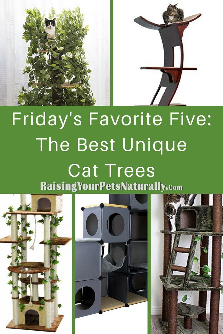 Friday's Favorite Five: The Best Unique Cat Trees. Cats love to be in high places. You may see your cat up on the counter, windowsill, high cabinet, or even on your refrigerator. Being high allows a cat to view his world from a relatively safe location. Maybe the reason cats want to be high up is from their ancestral days, when they climbed trees to escape other predators or to hunt their prey from concealment. Although the house cat does not have to hunt his prey, some do still enjoy the security of being high, especially when under stress from their home environment. For today's Friday's Favorite Five, I thought it would be fun to highlight five fun and modern cat trees.