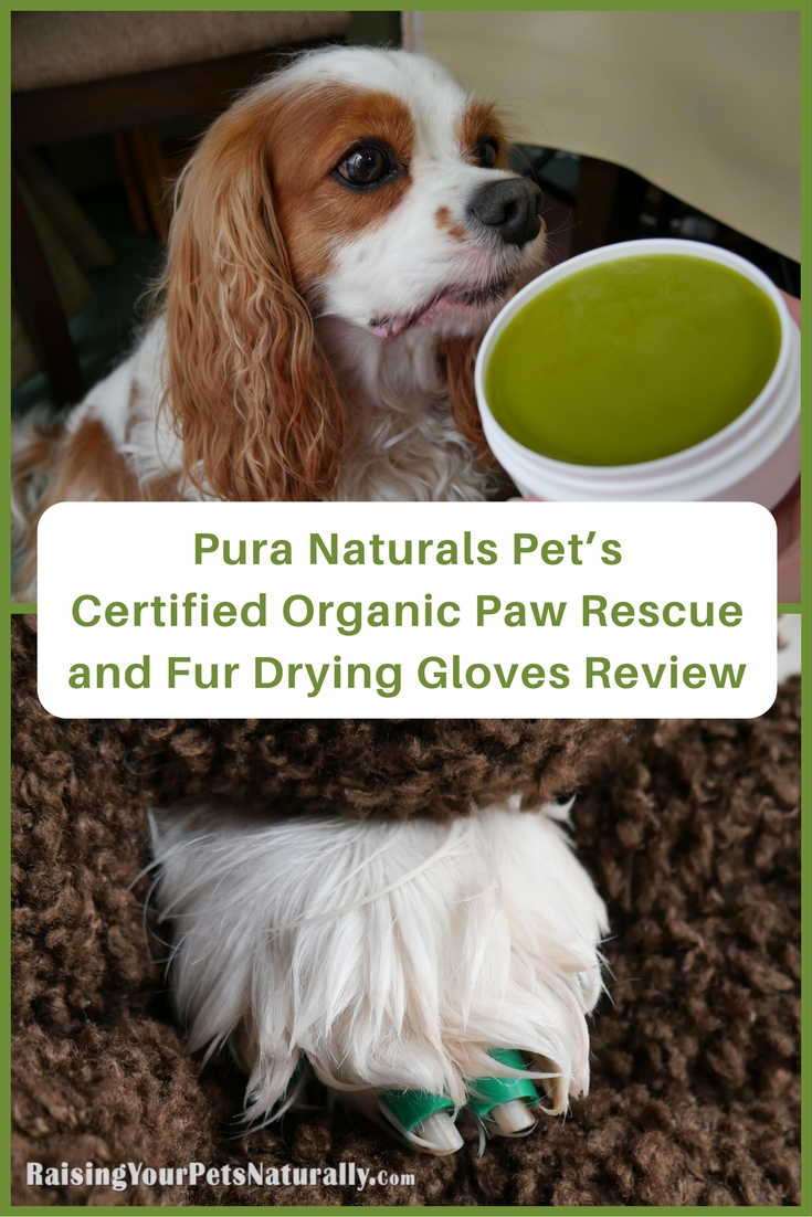 Last month, Dexter, Nutter, and I reviewed Pura Naturals Pet’s Pura-Tips Ear Cleansing System and really loved the product and the brand. When they contacted me to review their Certified Organic Paw Rescue and Fur Drying Gloves, I was all in. I love working with pet brands that put our pets’ health and well-being first, instead of the company’s bottom line. The brand’s mission says it all. “Our mission is simple. Pura Naturals Pet™ is dedicated to delivering the highest quality products using only the best materials the Earth has to offer.”