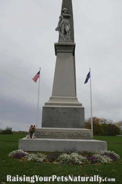 Dog-Friendly Bennington Battle Monument. During our dog-friendly vacation to Vermont, we took a few day trips. One day we headed to Bennington, Vermont and visited the Bennington Battle Monument, which is the tallest structure in Vermont.  