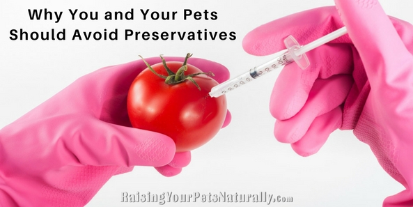 is potassium sorbate bad for dogs