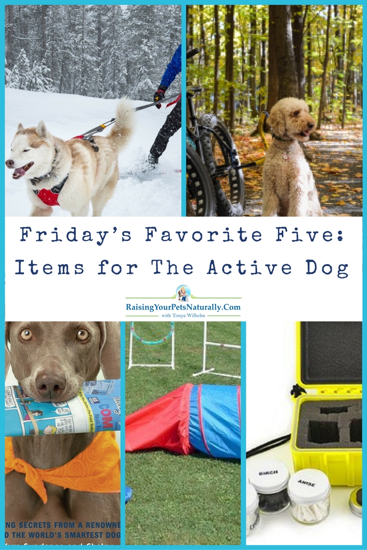 Friday's Favorite Five: Items for The Active Dog. Do you have an active dog or active dogs on your hands? There are many active dog breeds, including small active dogs. Keeping these dogs both mentally and physically busy and engaged is key to living with them and enjoying their company. In today's Friday's Favorite Five you will find active dog toys and dog-friendly activities to do with your dog.