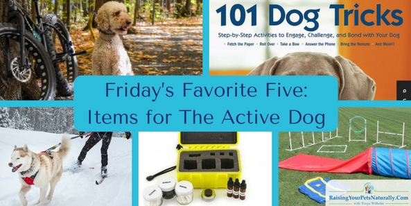 Friday's Favorite Five: Items for The Active Dog. Do you have an active dog or active dogs on your hands? There are many active dog breeds, including small active dogs. Keeping these dogs both mentally and physically busy and engaged is key to living with them and enjoying their company. In today's Friday's Favorite Five you will find active dog toys and dog-friendly activities to do with your dog.