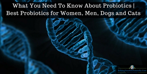 Best Probiotics for Women, Men, Dogs and Cats. Understanding Pre- and Probiotics for Dogs, Cats, and People. You know I'm a big believer in reading the ingredient labels in all our pets’ products, but when I turn over a box or jar of probiotics, I'm totally confused. I'm not a microbiologist! So I asked some experts in the field of microbiology and pet health for help in understanding probiotics for pets and ourselves