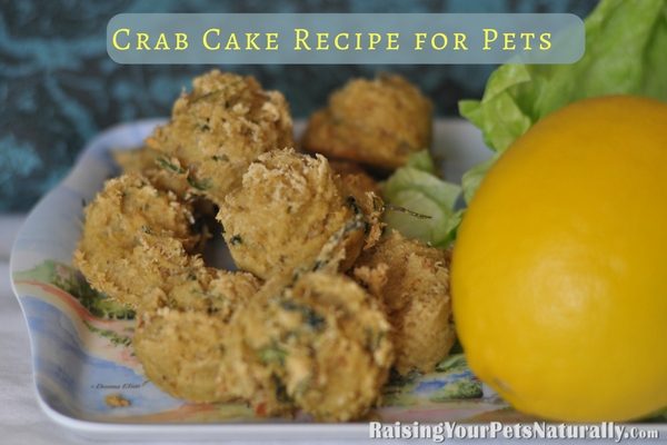 Healthy and Natural Dog and Cat Treat Recipes Homemade Healthy Dog and Cat Treats | Crab Cakes for Dogs and Cats