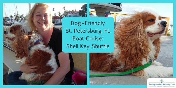 Dog-Friendly Petersburg, Florida |Boat Cruise: Shell Key Shuttle. During our dog-friendly Florida vacation, we had to do a dog-friendly sunset cruise!  This Florida dolphin cruise was very enjoyable, and the captain and crew were welcoming and friendly. We started with a great sight-seeing cruise through residential waterways and through the inspiring barrier islands south of Pass-a-Grille. We went from historic cypress beach cabins to modern multi-million dollar mansions. The captain even stopped and pointed out numerous shorebirds.