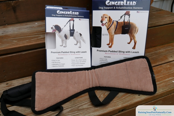 GingerLead dog support sling review