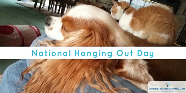 Wordless Wednesday National Hanging Out Day When you read this headline, National Hanging Out Day, what did you think of? I thought about hanging out with my dog. If you are like me, you are wrong!