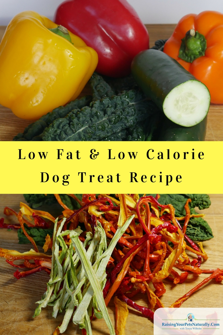 Low Fat and Low Calorie Dog Treats | Healthy Homemade Dog Treats. I want to help my dog lose weight with real food and exercise, not with a nasty, processed, low-fat dog food. #raisingyourpetsnaturally