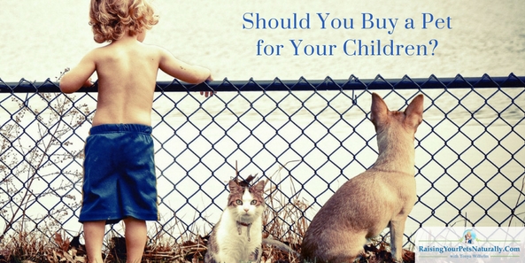 Should you buy a pet for your child? Here are a few things to consider before making this life altering decision. #raisingyourpetsnaturally