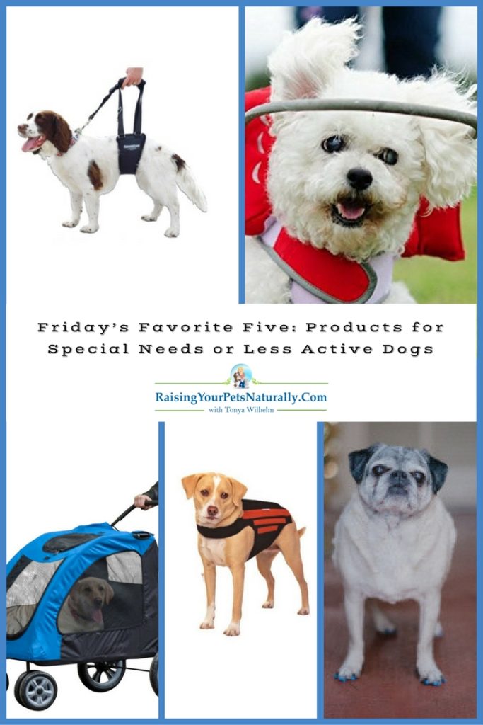 Friday's Favorite Five: Products for Special Needs or Less Active Dogs. All dogs are special and have their own behavior, health, and activity requirements. Some dogs are what we may consider special-needs dogs or senior dogs that may need a little help with their daily lives or activities. This, however, does not mean that these dogs do not deserve to lead a happy, fun, and healthy lifestyle. 