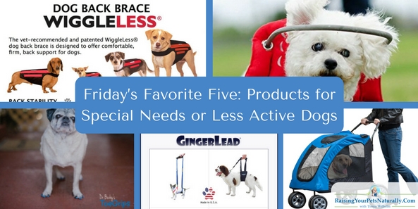 Items for special needs or senior dogs.